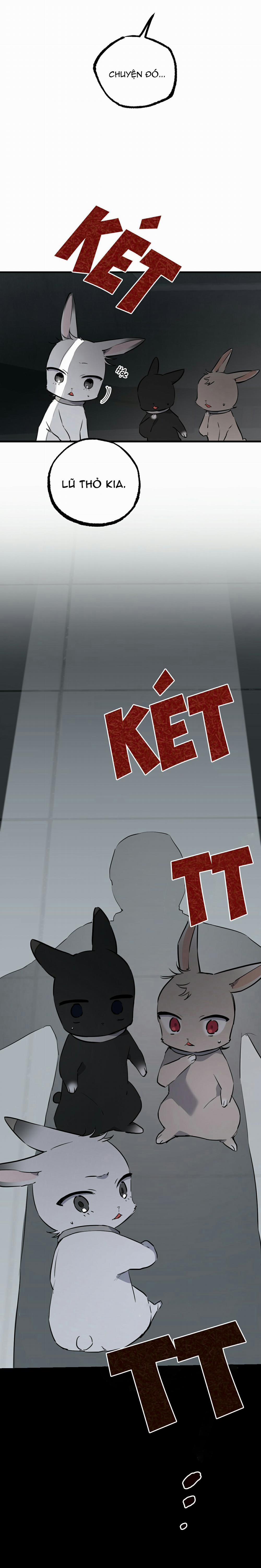 Những Chú Thỏ Của Habibi 46 trang 12