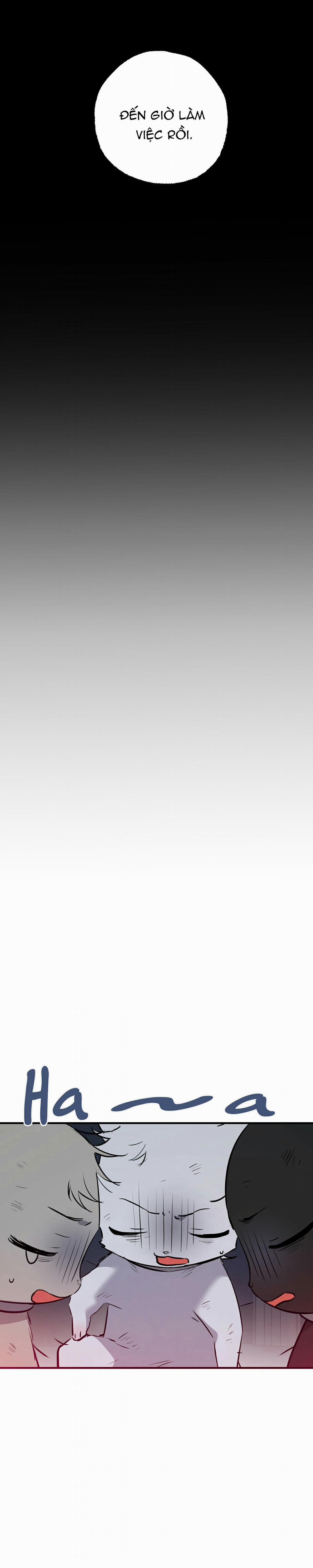 Những Chú Thỏ Của Habibi 46 trang 13