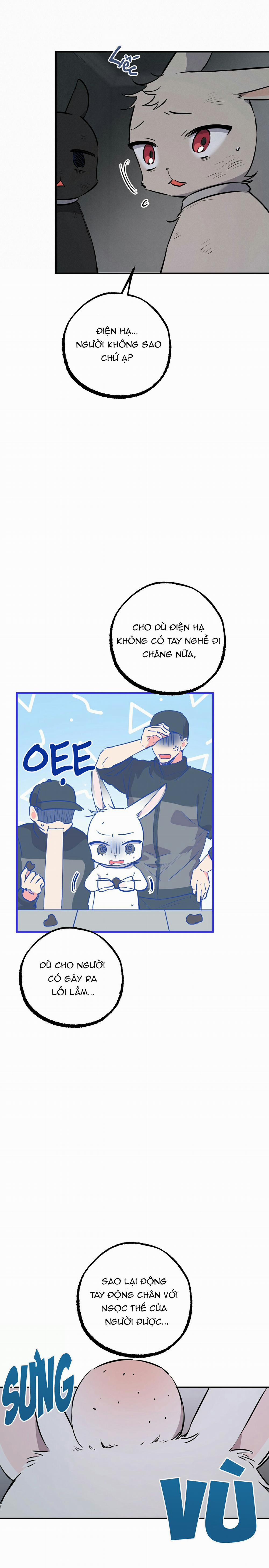 Những Chú Thỏ Của Habibi 46 trang 14