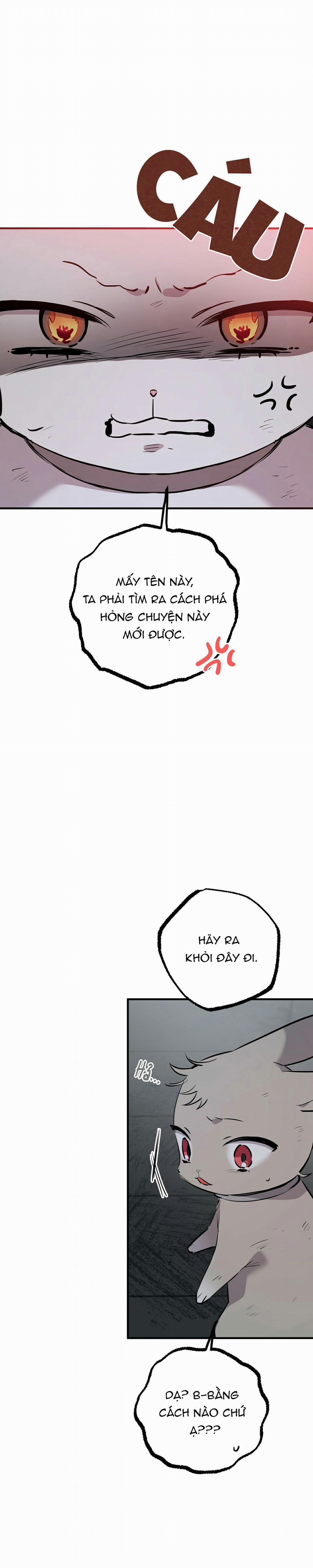 Những Chú Thỏ Của Habibi 46 trang 15