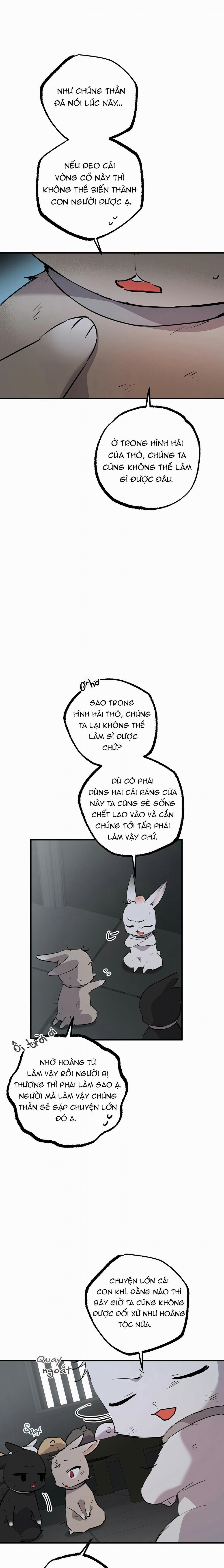 Những Chú Thỏ Của Habibi 46 trang 16