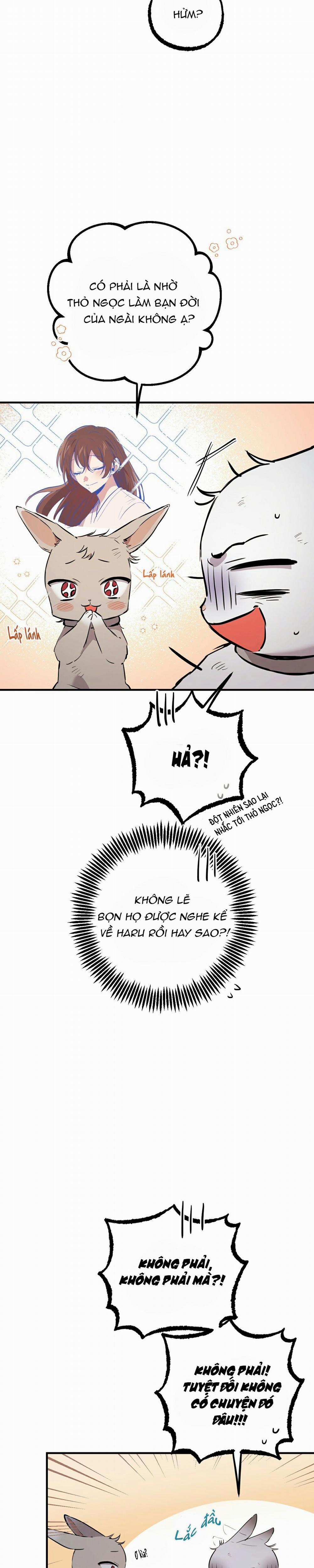 Những Chú Thỏ Của Habibi 46 trang 19