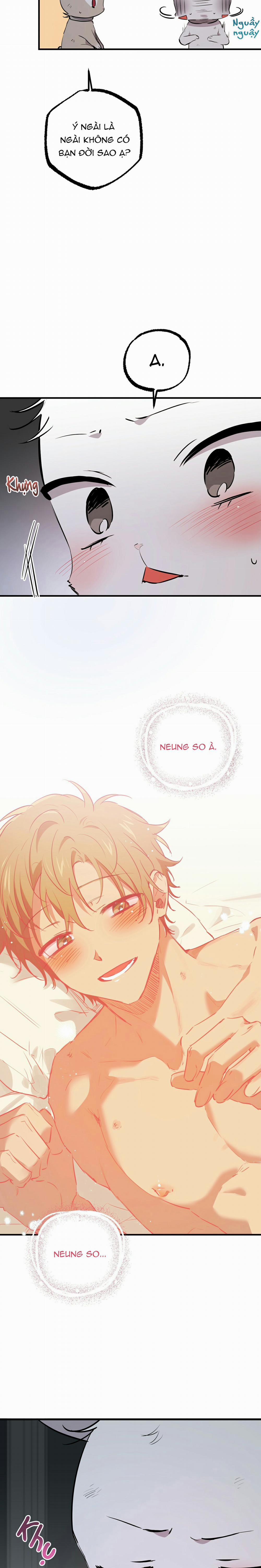 Những Chú Thỏ Của Habibi 46 trang 20