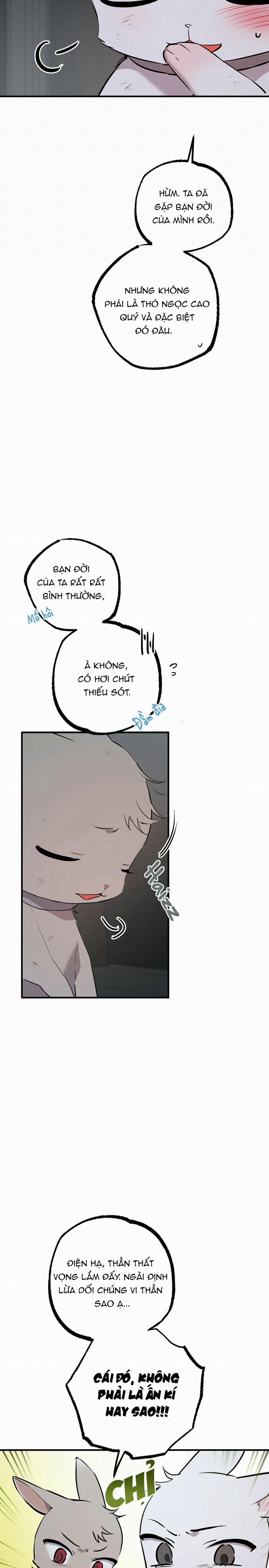 Những Chú Thỏ Của Habibi 46 trang 21