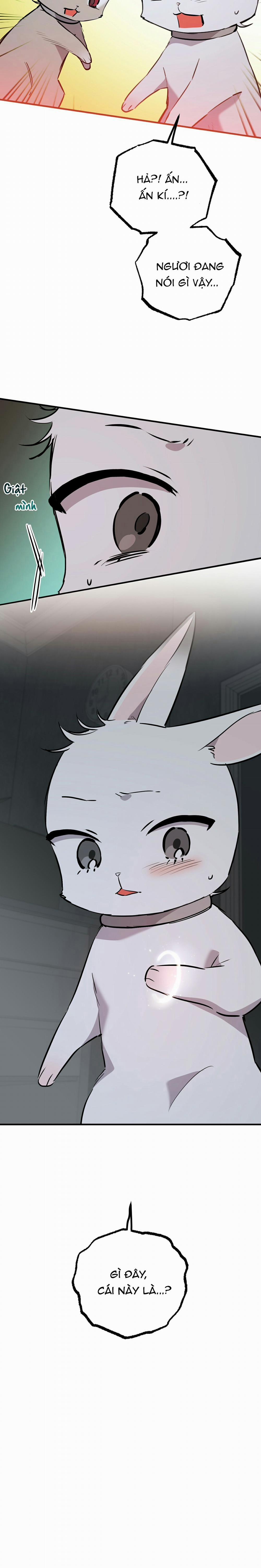 Những Chú Thỏ Của Habibi 46 trang 22