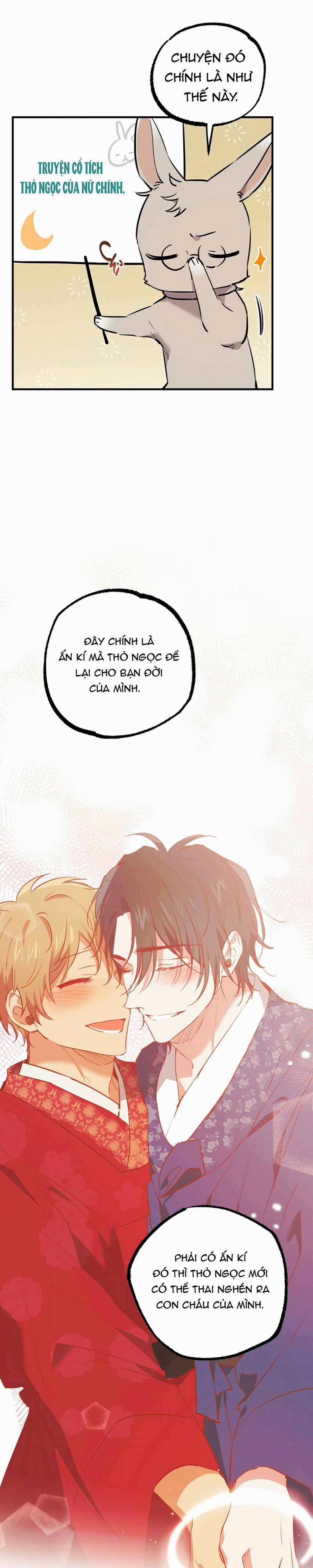 Những Chú Thỏ Của Habibi 46 trang 23