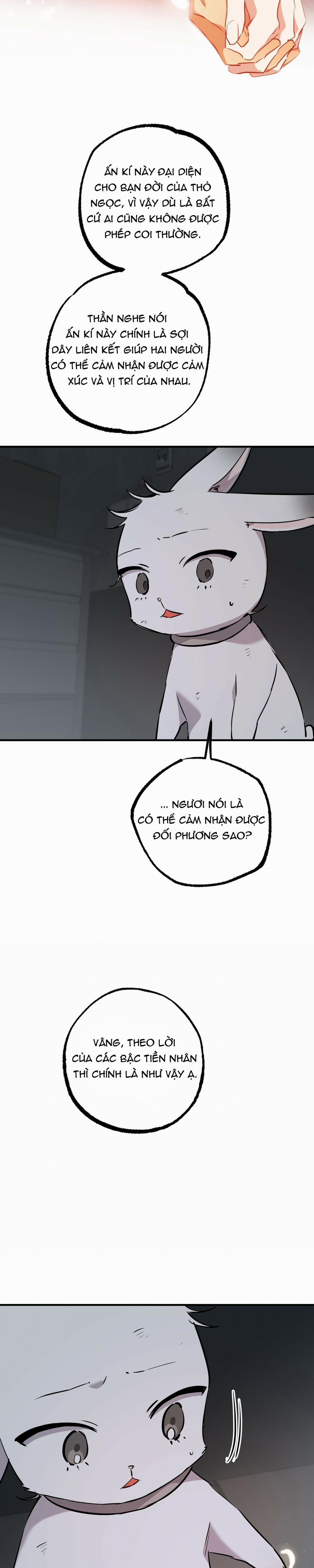 Những Chú Thỏ Của Habibi 46 trang 24