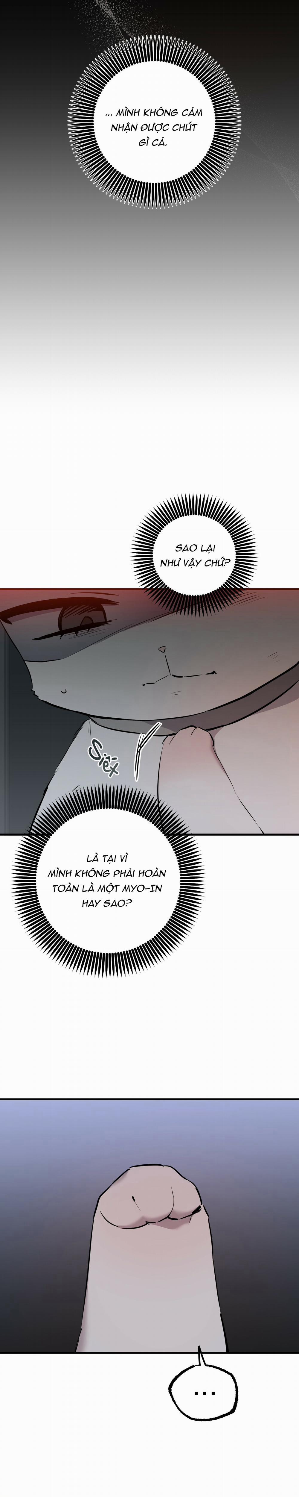 Những Chú Thỏ Của Habibi 46 trang 26