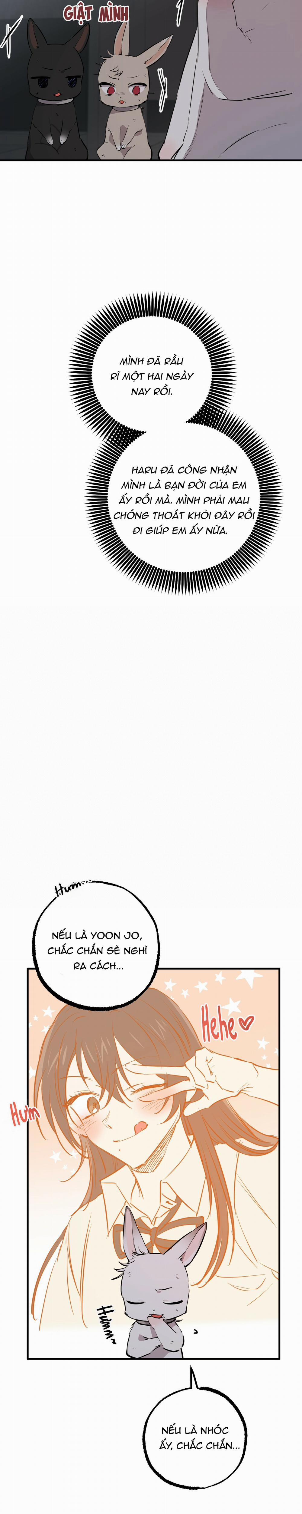 Những Chú Thỏ Của Habibi 46 trang 28