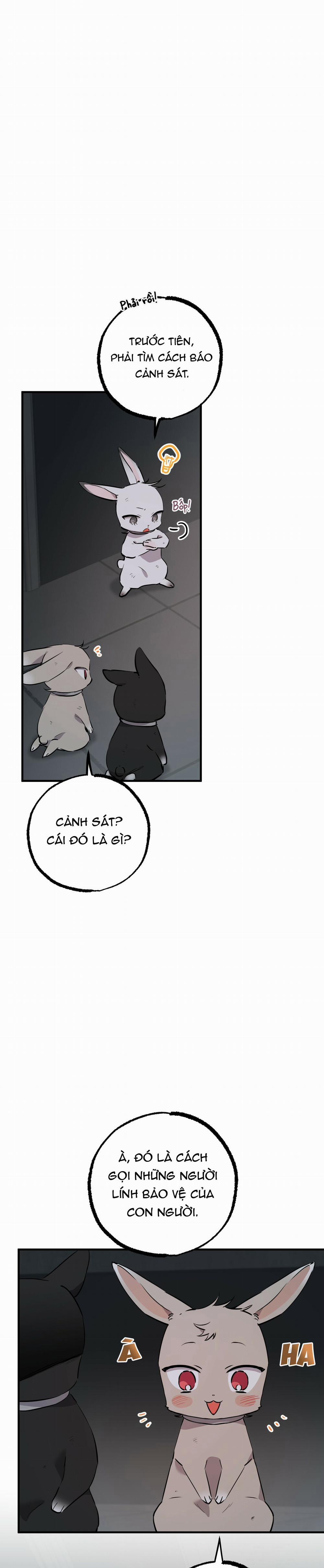 Những Chú Thỏ Của Habibi 46 trang 29