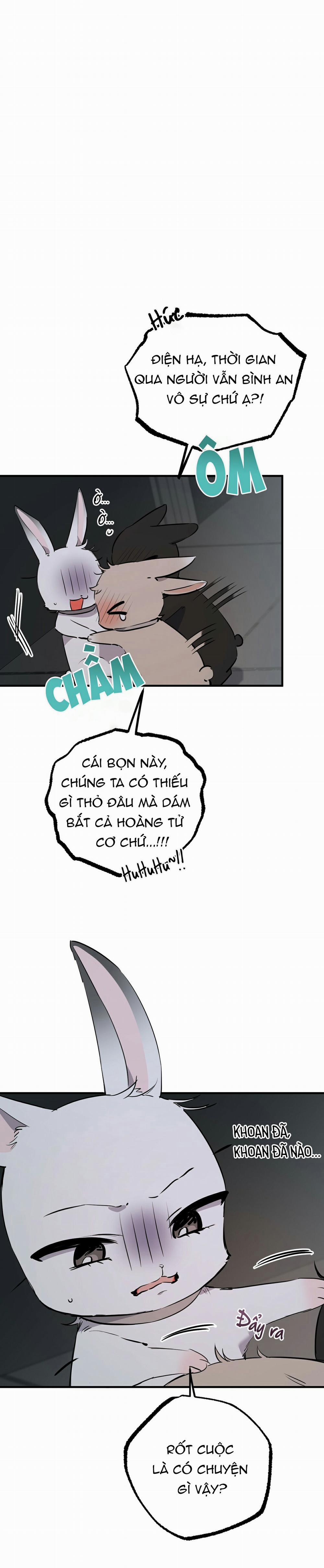 Những Chú Thỏ Của Habibi 46 trang 3