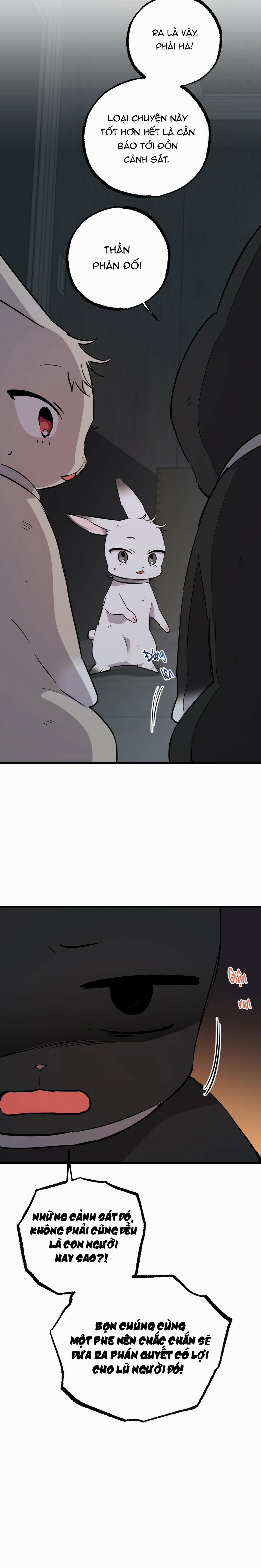 Những Chú Thỏ Của Habibi 46 trang 30