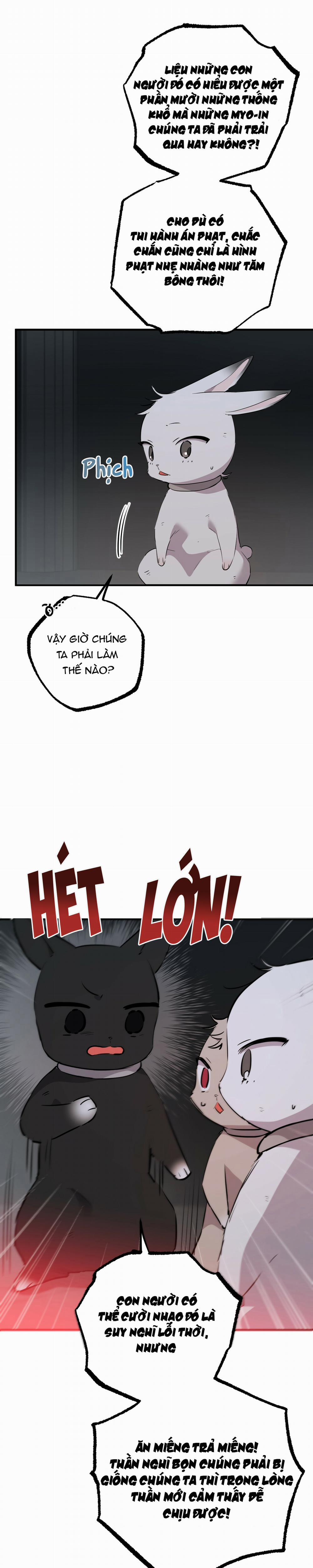 Những Chú Thỏ Của Habibi 46 trang 31