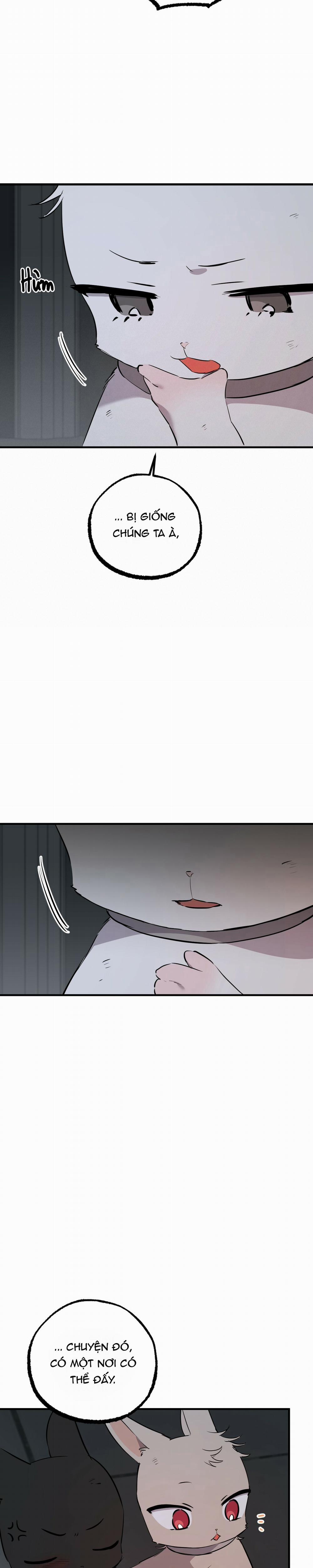 Những Chú Thỏ Của Habibi 46 trang 32