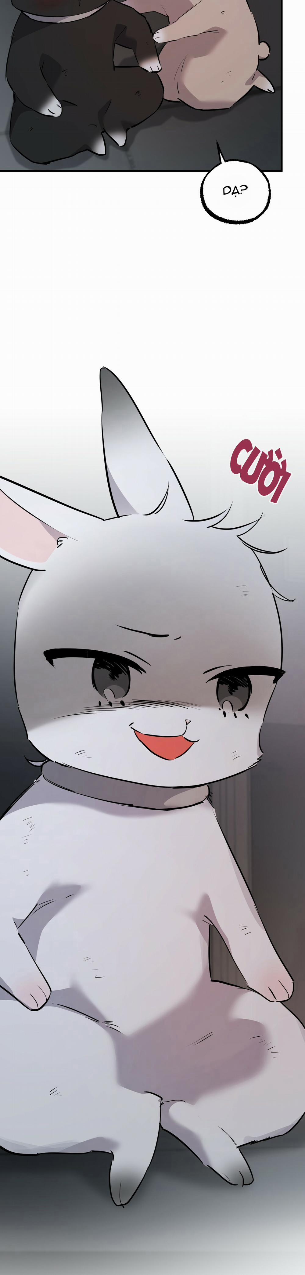 Những Chú Thỏ Của Habibi 46 trang 33