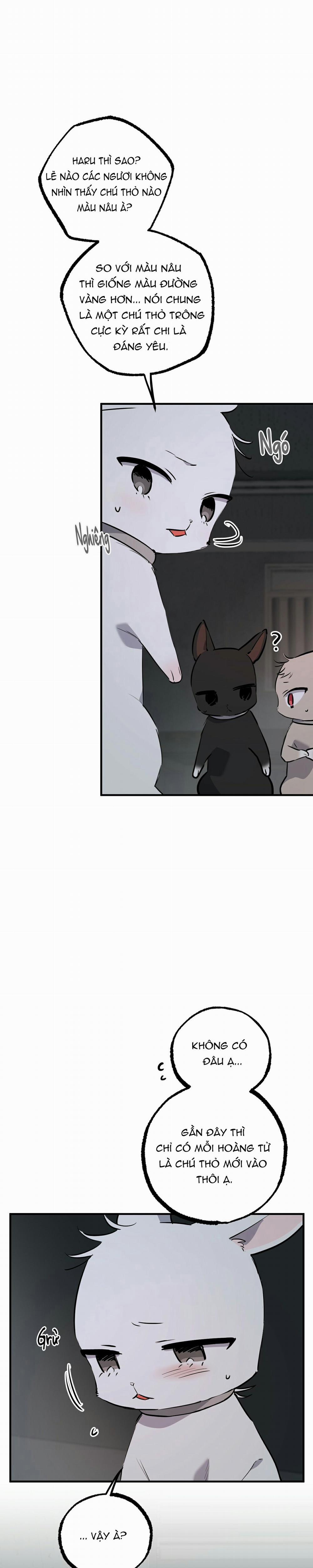 Những Chú Thỏ Của Habibi 46 trang 4