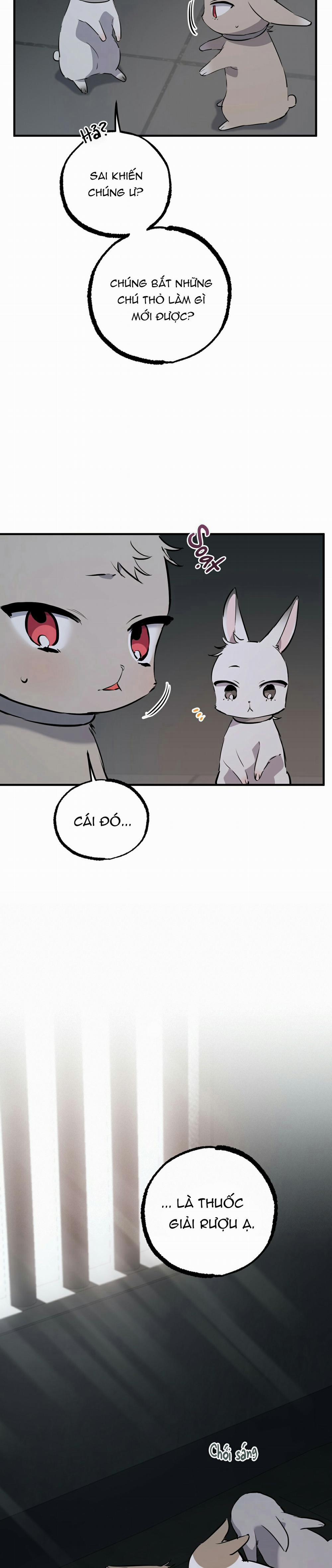 Những Chú Thỏ Của Habibi 46 trang 6