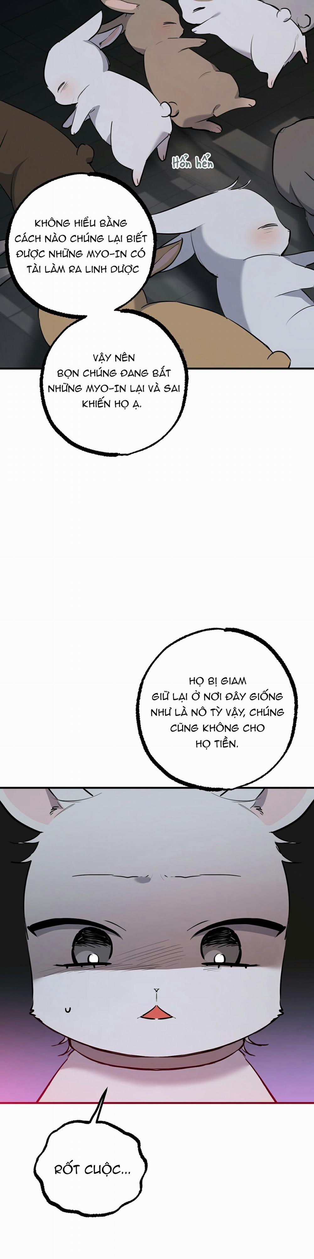 Những Chú Thỏ Của Habibi 46 trang 7