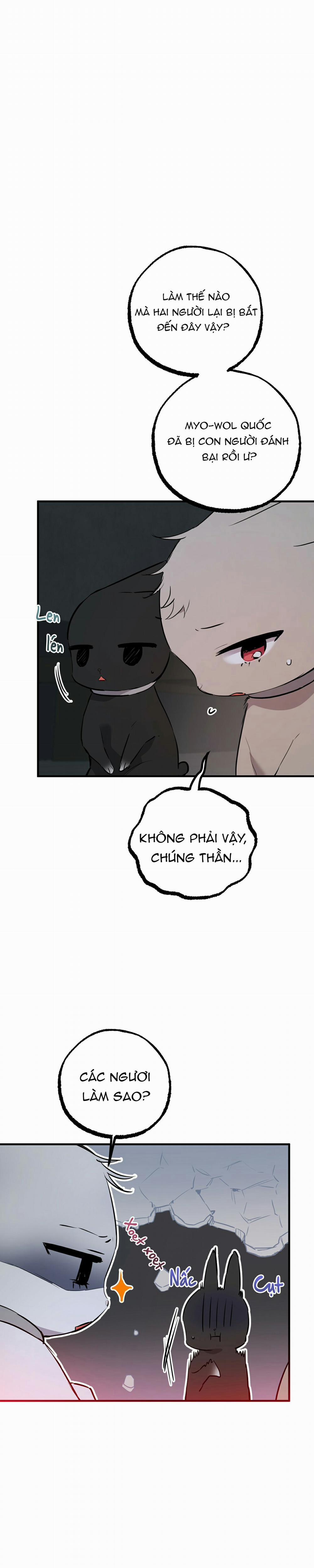 Những Chú Thỏ Của Habibi 46 trang 8