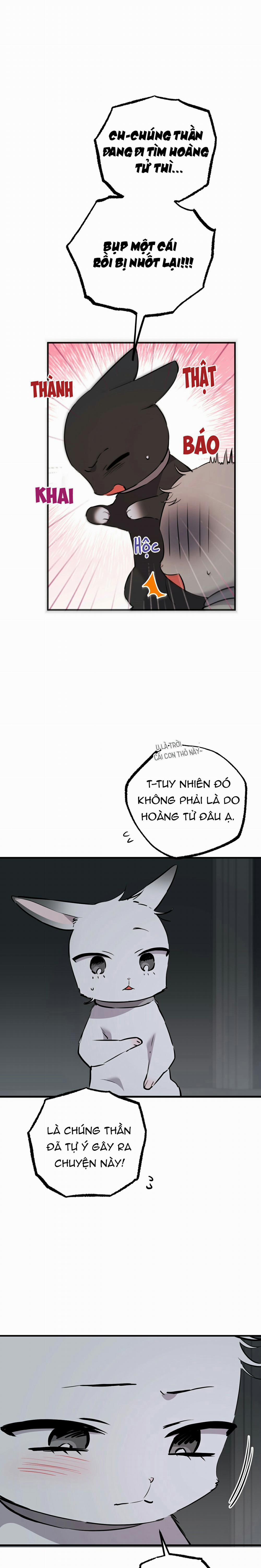 Những Chú Thỏ Của Habibi 46 trang 9