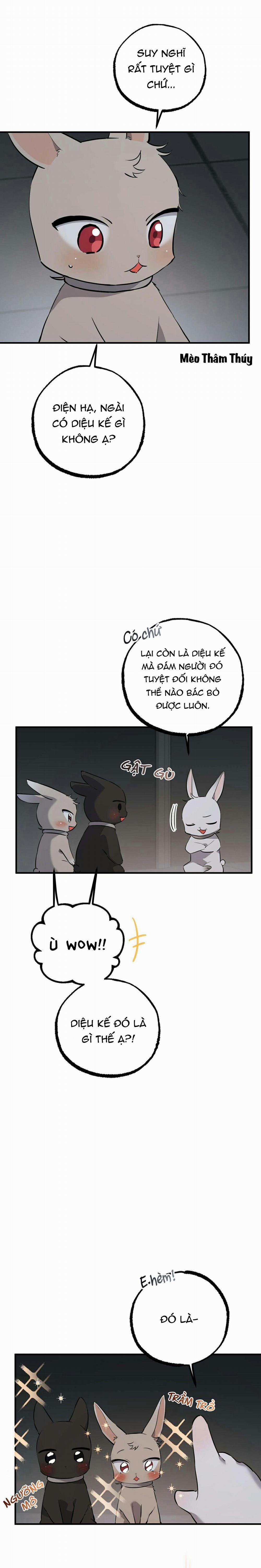 Những Chú Thỏ Của Habibi 47 trang 0