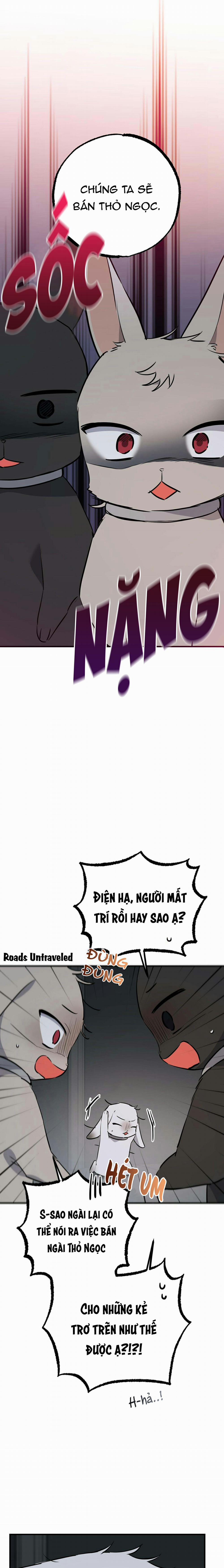 Những Chú Thỏ Của Habibi 47 trang 1