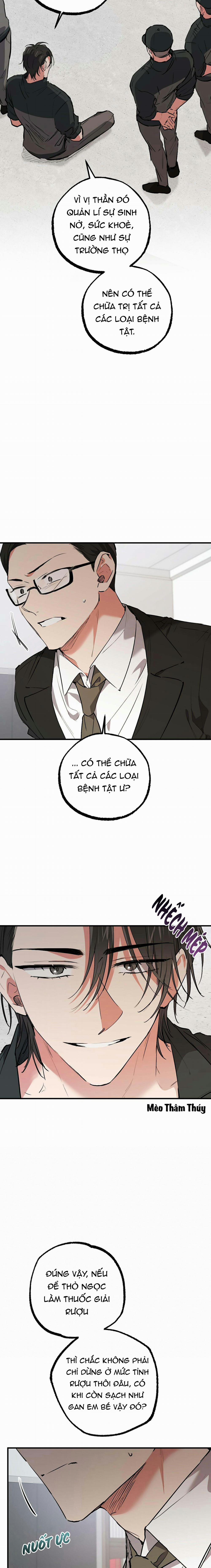 Những Chú Thỏ Của Habibi 47 trang 10