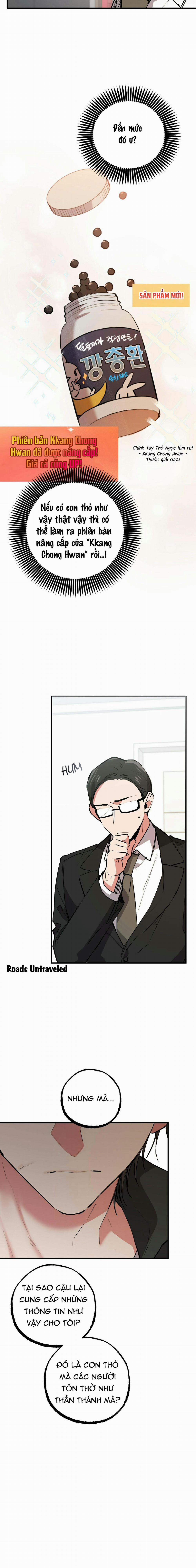 Những Chú Thỏ Của Habibi 47 trang 11