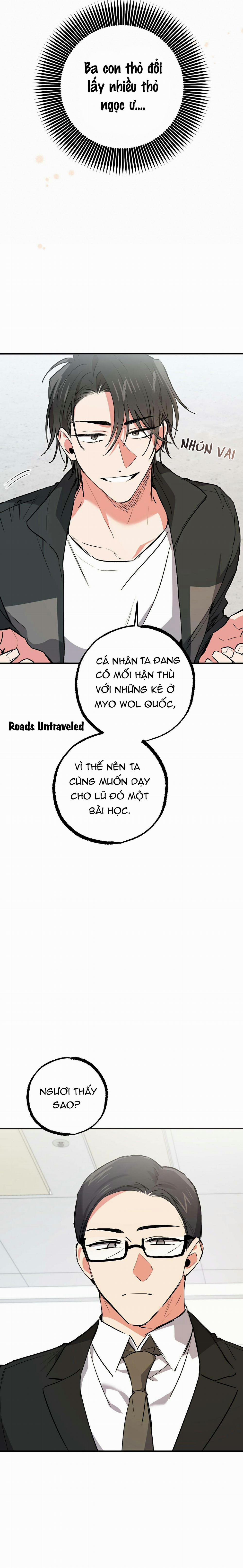 Những Chú Thỏ Của Habibi 47 trang 13