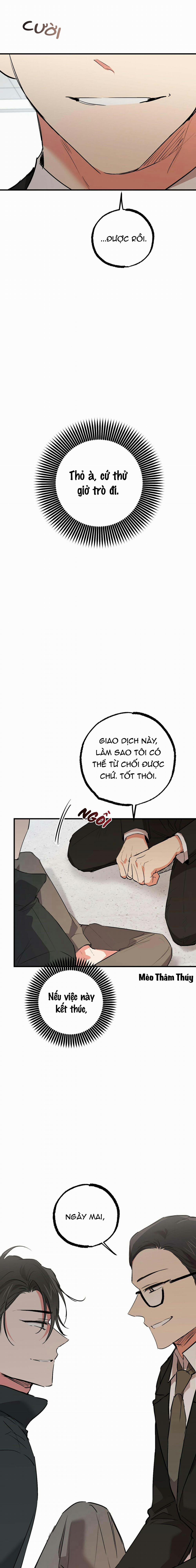 Những Chú Thỏ Của Habibi 47 trang 14