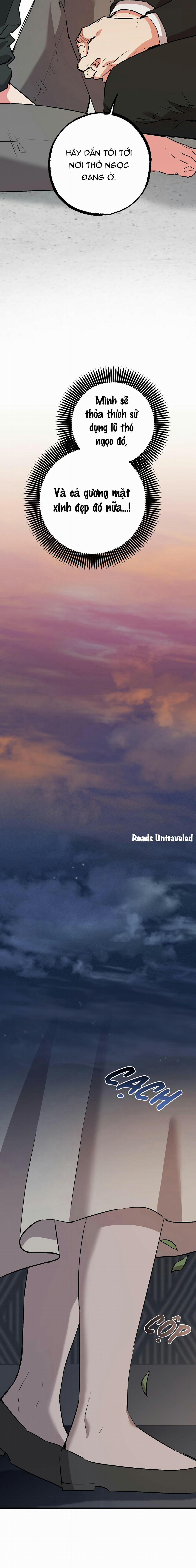 Những Chú Thỏ Của Habibi 47 trang 15