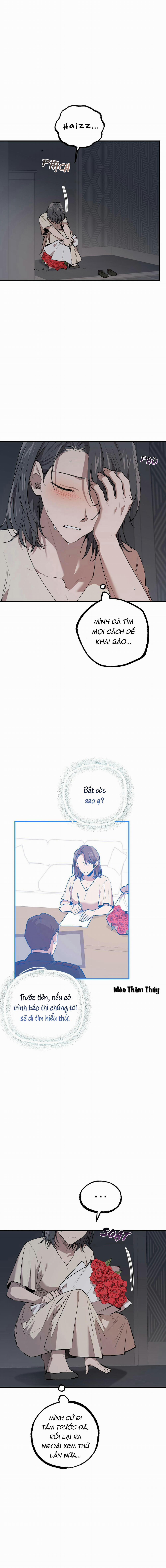 Những Chú Thỏ Của Habibi 47 trang 16