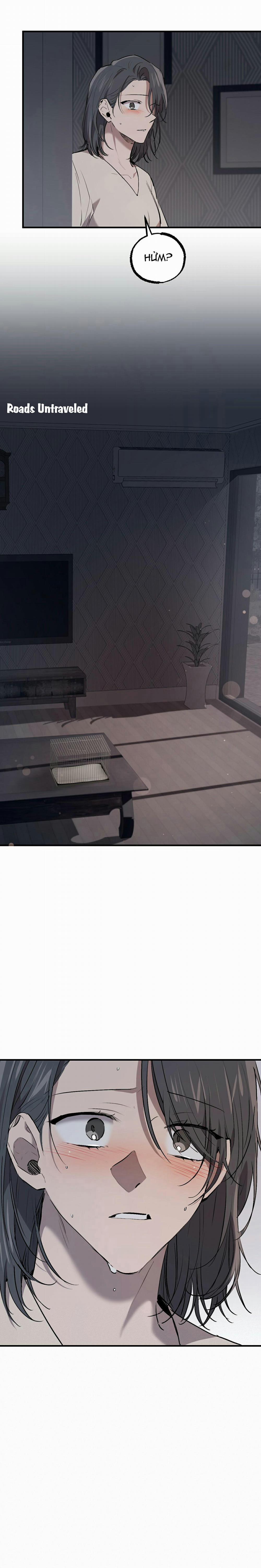 Những Chú Thỏ Của Habibi 47 trang 17