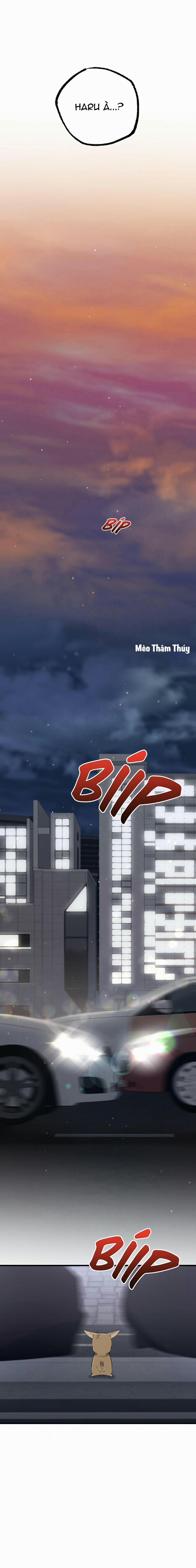 Những Chú Thỏ Của Habibi 47 trang 18