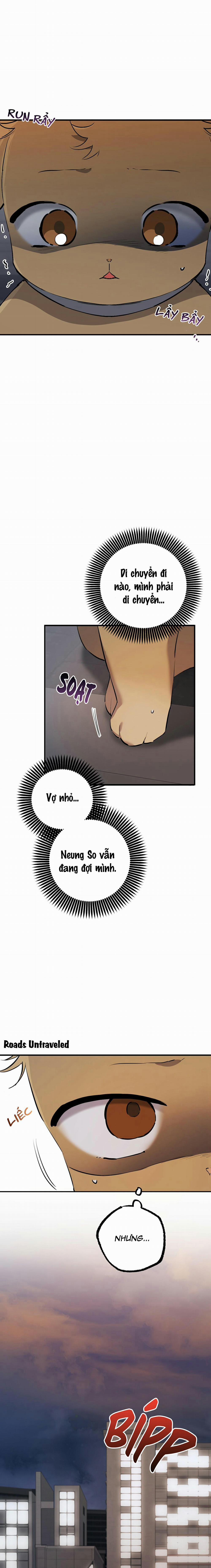 Những Chú Thỏ Của Habibi 47 trang 19