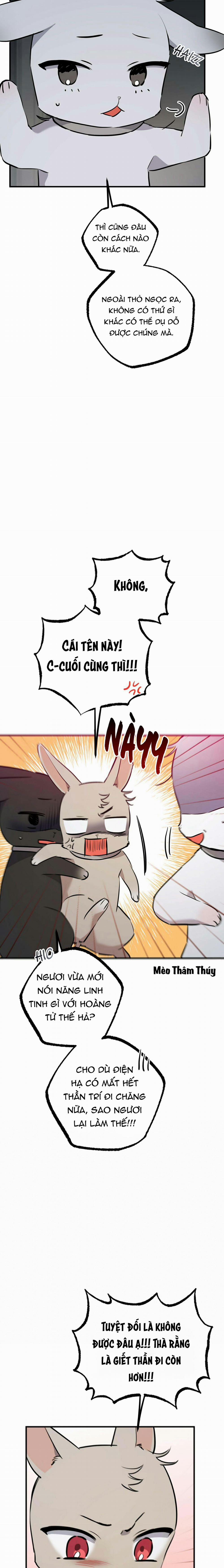 Những Chú Thỏ Của Habibi 47 trang 2