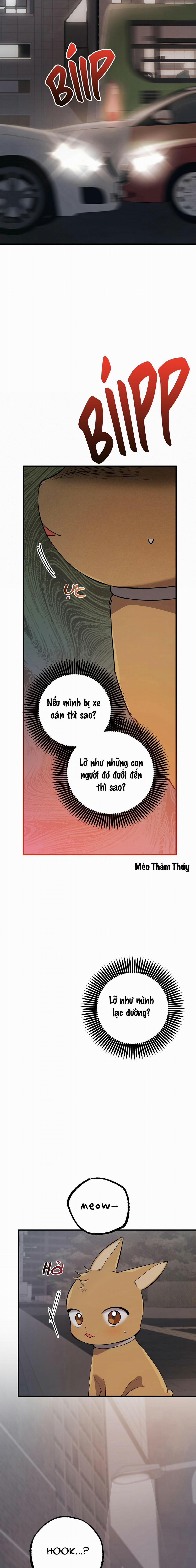Những Chú Thỏ Của Habibi 47 trang 20