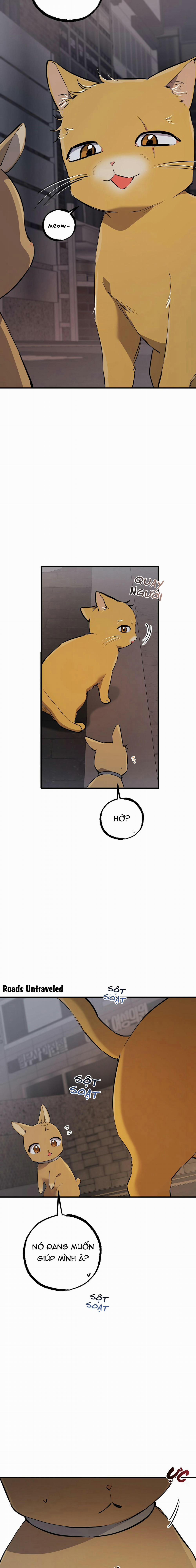 Những Chú Thỏ Của Habibi 47 trang 21