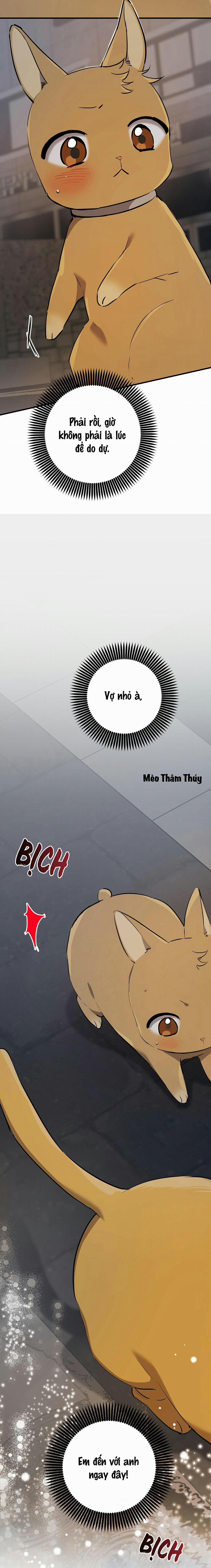 Những Chú Thỏ Của Habibi 47 trang 22