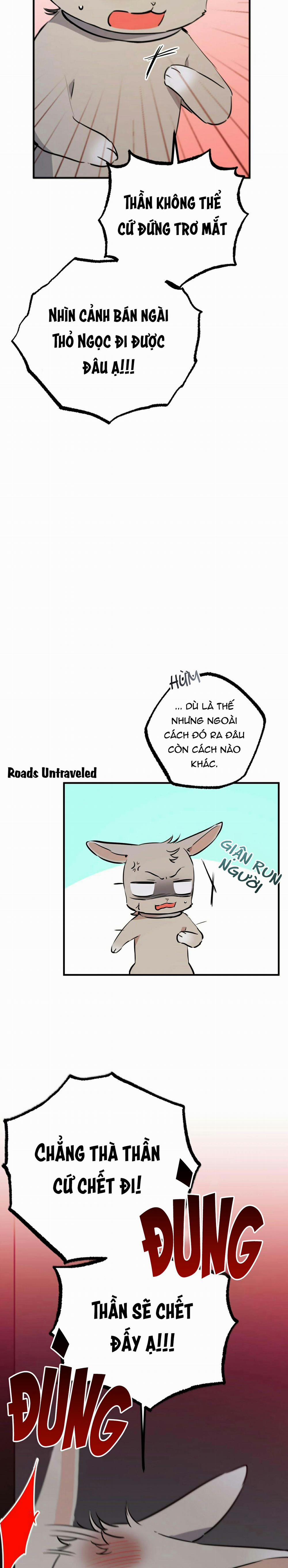 Những Chú Thỏ Của Habibi 47 trang 3