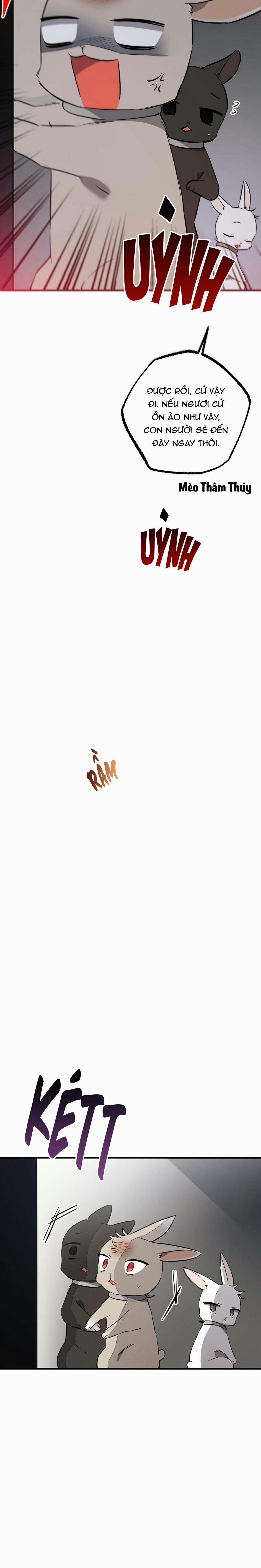 Những Chú Thỏ Của Habibi 47 trang 4