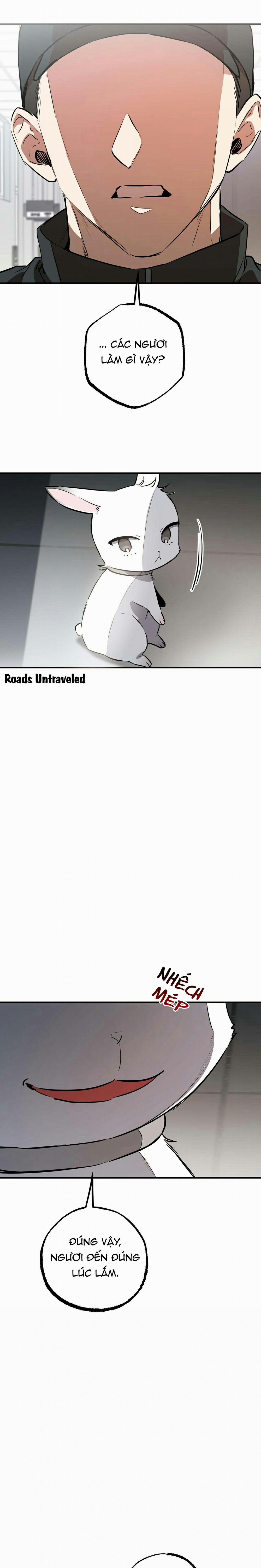 Những Chú Thỏ Của Habibi 47 trang 5