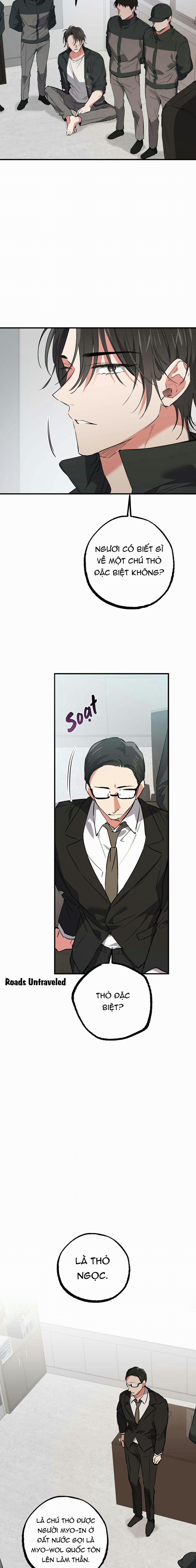 Những Chú Thỏ Của Habibi 47 trang 9