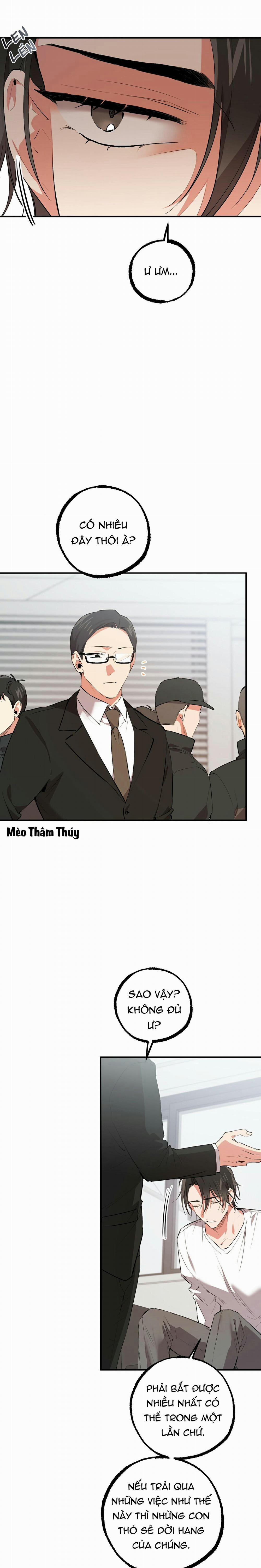 Những Chú Thỏ Của Habibi 48 trang 0