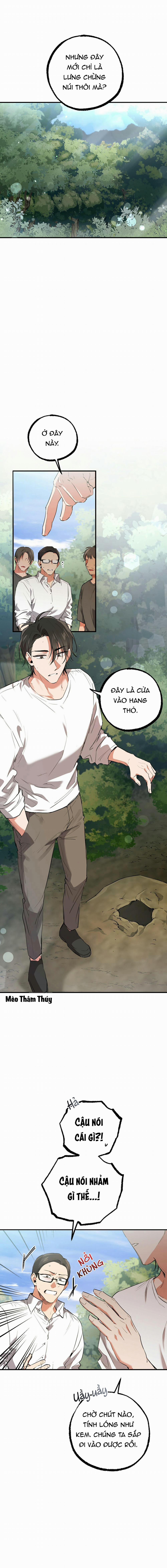 Những Chú Thỏ Của Habibi 48 trang 10