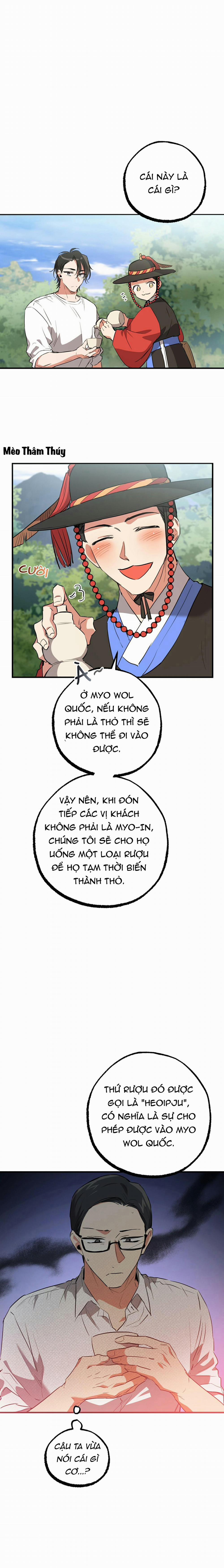 Những Chú Thỏ Của Habibi 48 trang 14