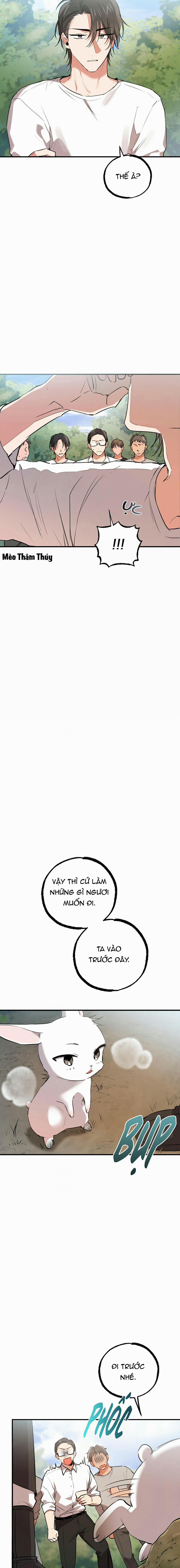 Những Chú Thỏ Của Habibi 48 trang 16