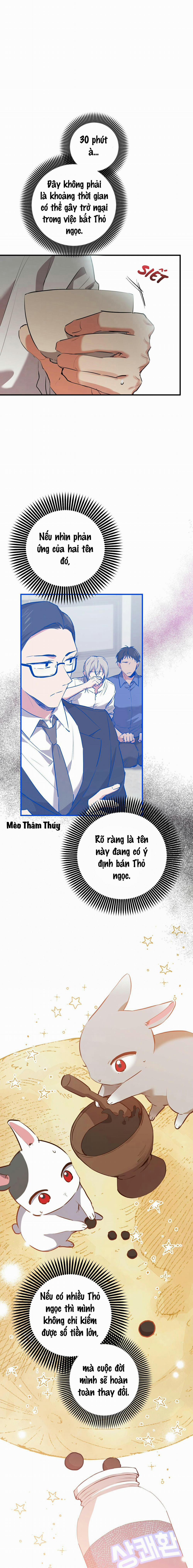 Những Chú Thỏ Của Habibi 48 trang 18