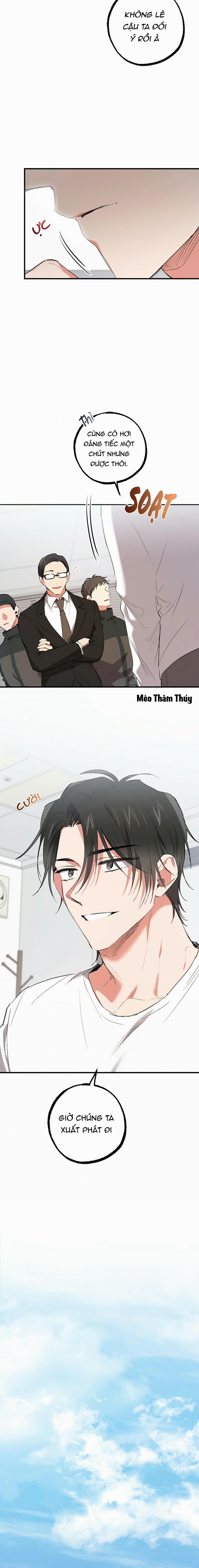 Những Chú Thỏ Của Habibi 48 trang 2