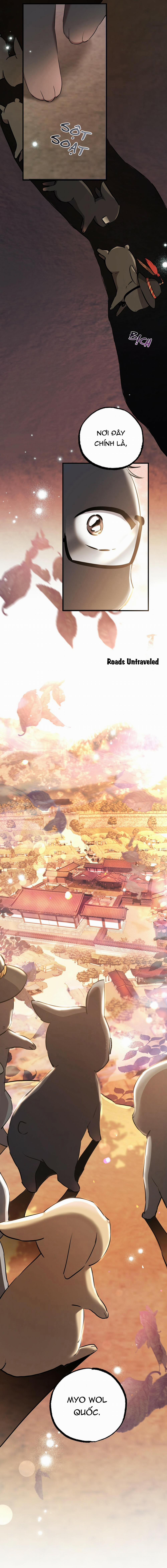 Những Chú Thỏ Của Habibi 48 trang 21